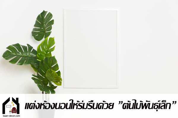 แต่งห้องนอนให้ร่มรื่นด้วย ”ต้นไม้พันธุ์เล็ก” #บ้าน