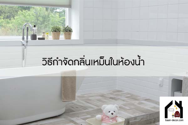 วิธีกำจัดกลิ่นเหม็นในห้องน้ำ