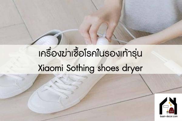 เครื่องฆ่าเชื้อโรคในรองเท้ารุ่น Xiaomi Sothing shoes dryer อุปกรณ์ที่จะช่วยแก้ปัญหาเรื่องกลิ่นเท้า